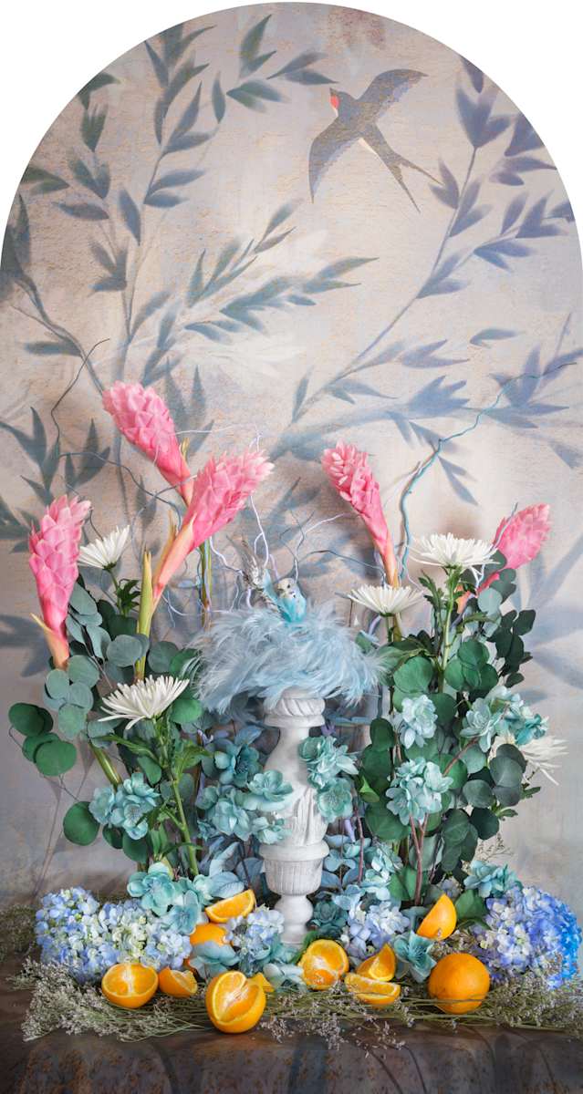 Blue Budgerigar with Orange Nesting by JP Terlizzi 