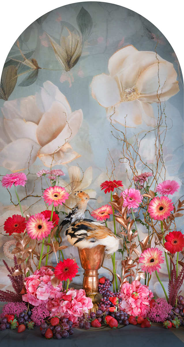 Hoopoe with Strawberry Grapes Nesting by JP Terlizzi, Image 1.