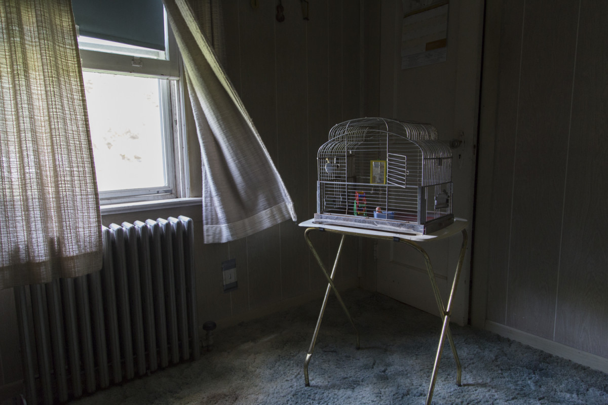 The Empty Cage by JP Terlizzi 