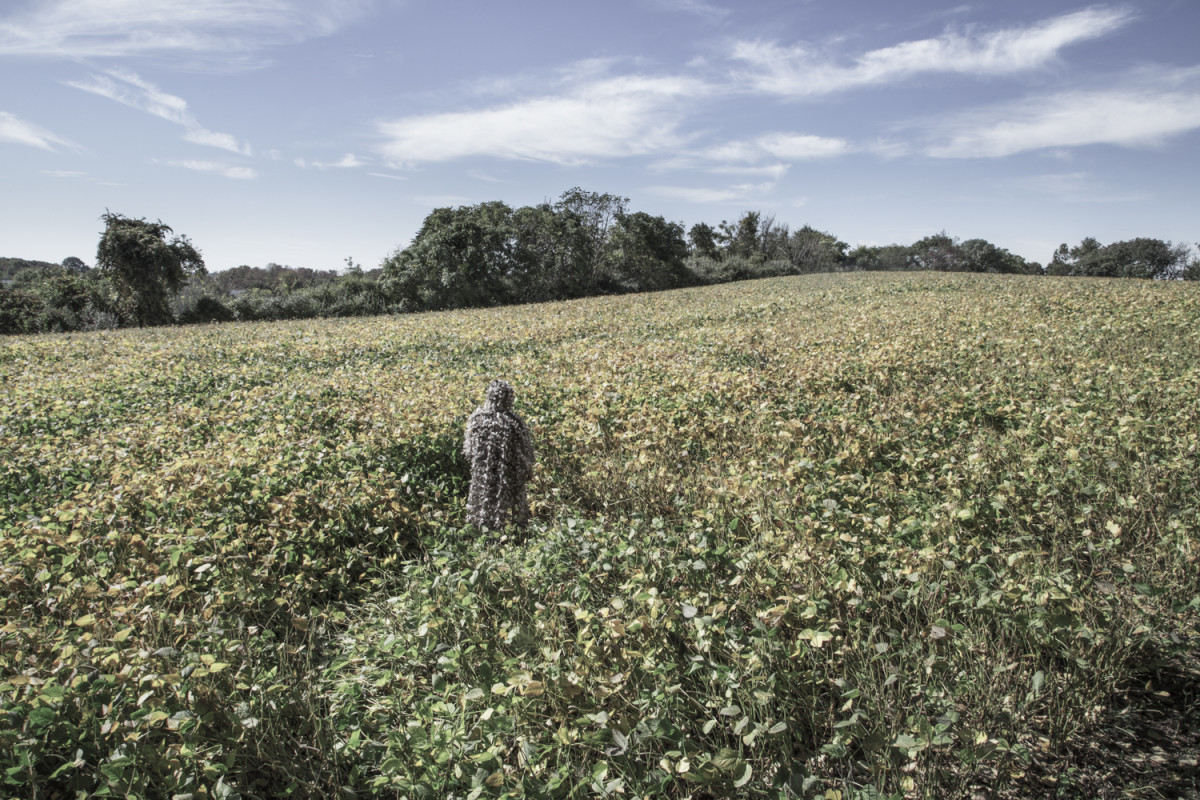 Open Field by JP Terlizzi 