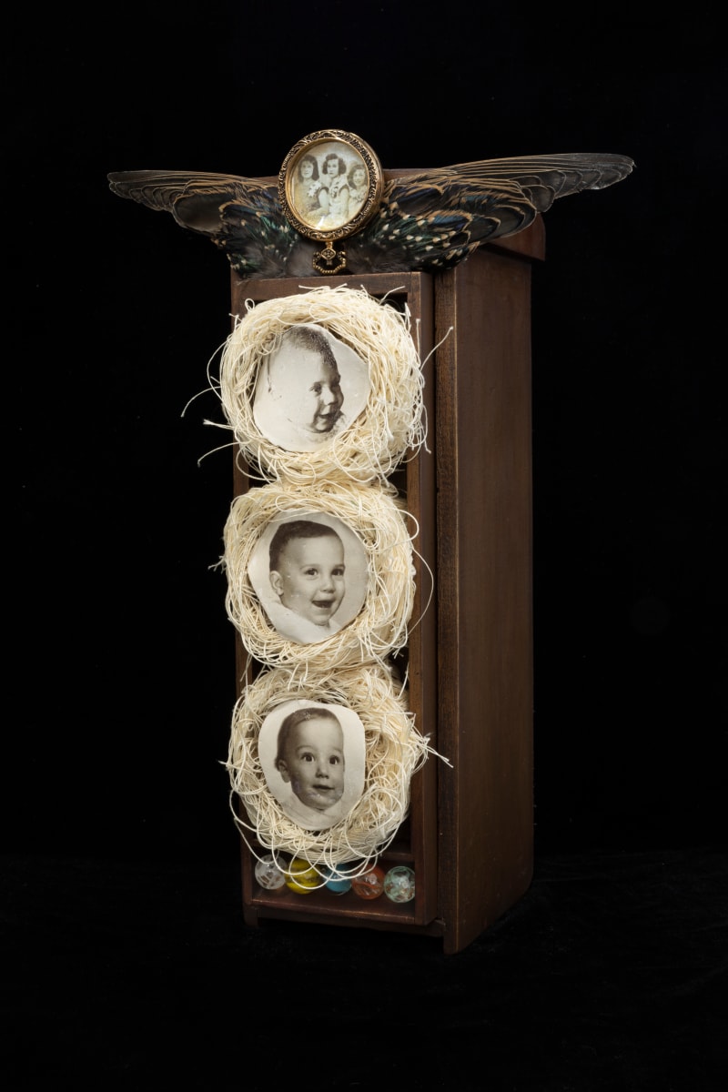 The Nest by JP Terlizzi 