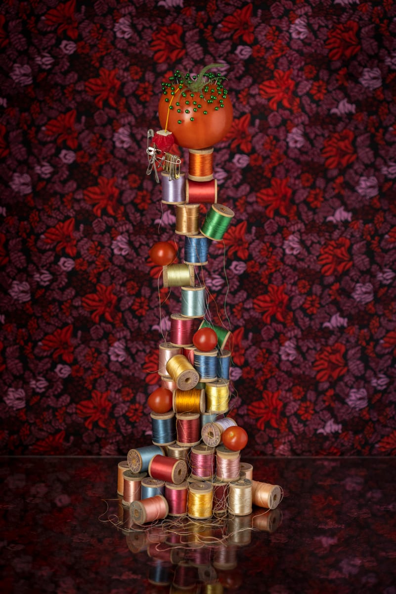 Pin Cushion by JP Terlizzi, Image 1.