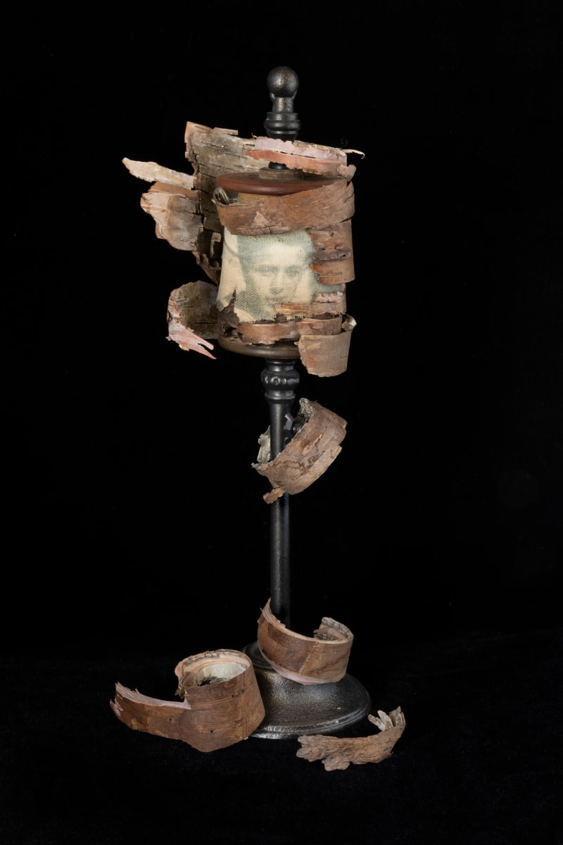 Shedding by JP Terlizzi, Image 2.