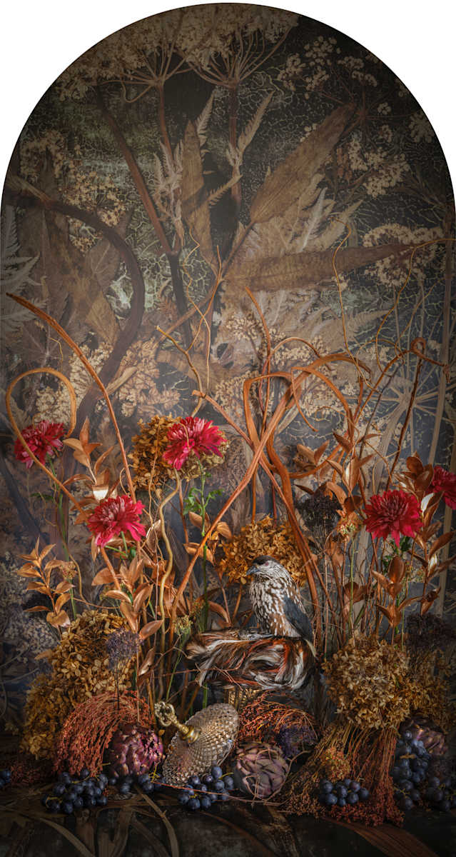 Spotted Nutcracker with Artichokes Nesting by JP Terlizzi, Image 1.