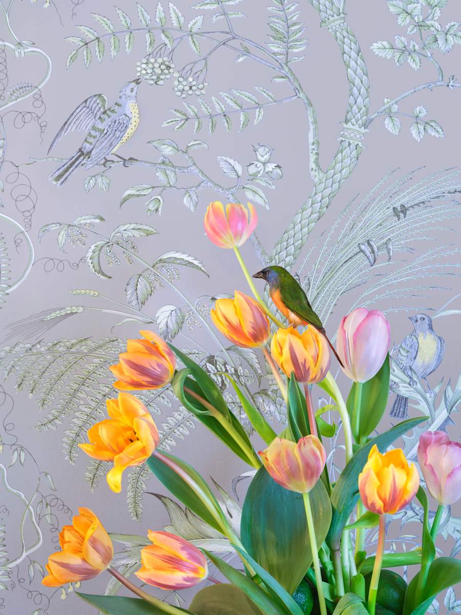 Spring's Promise by JP Terlizzi, Image 1.