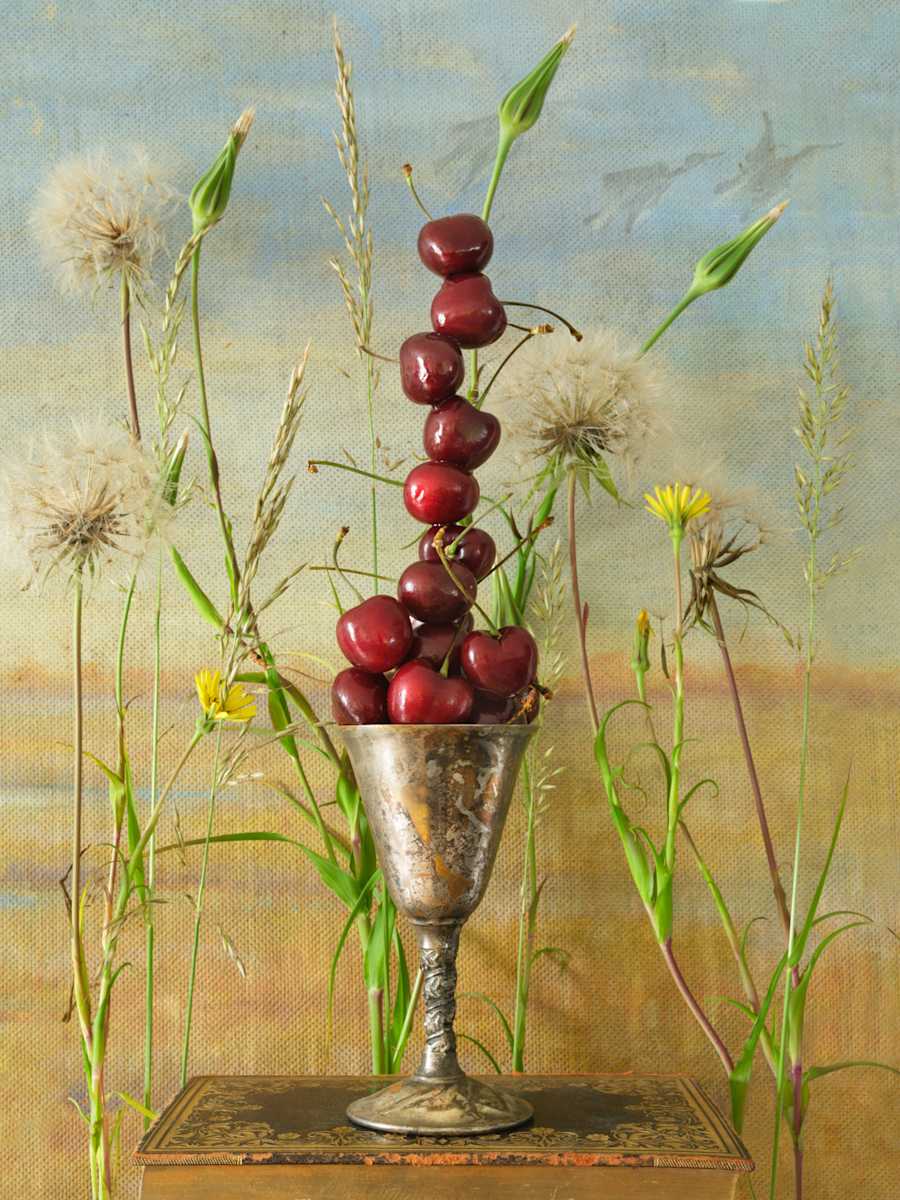 The Marsh by JP Terlizzi 