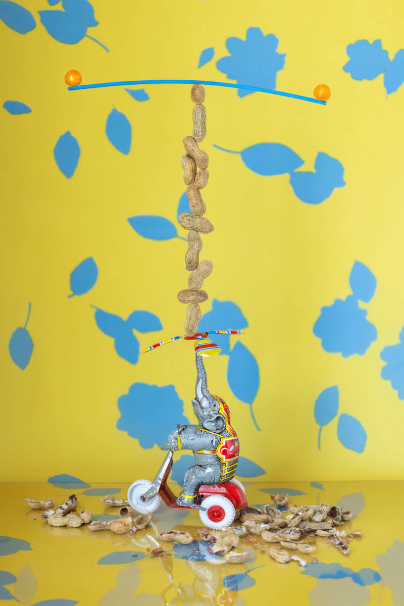 Working For Peanuts by JP Terlizzi 