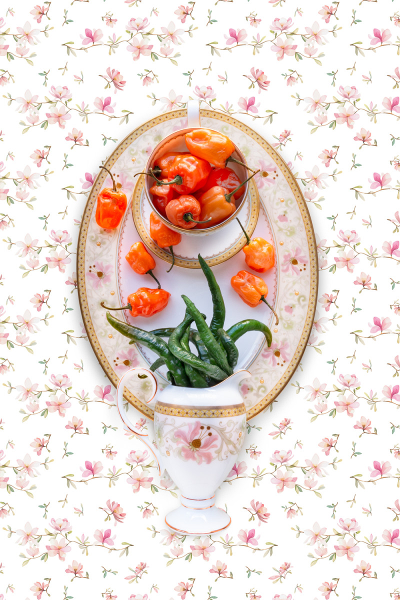 Noritake Blooming Splendor with Pepper by JP Terlizzi 