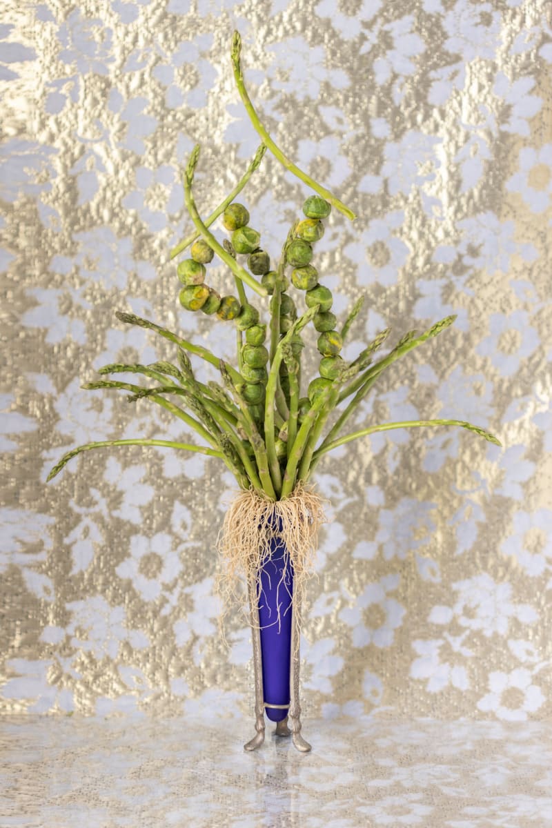 Asparagus in Bloom 