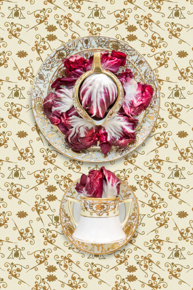 Noritake 16034 with Radicchio by JP Terlizzi 