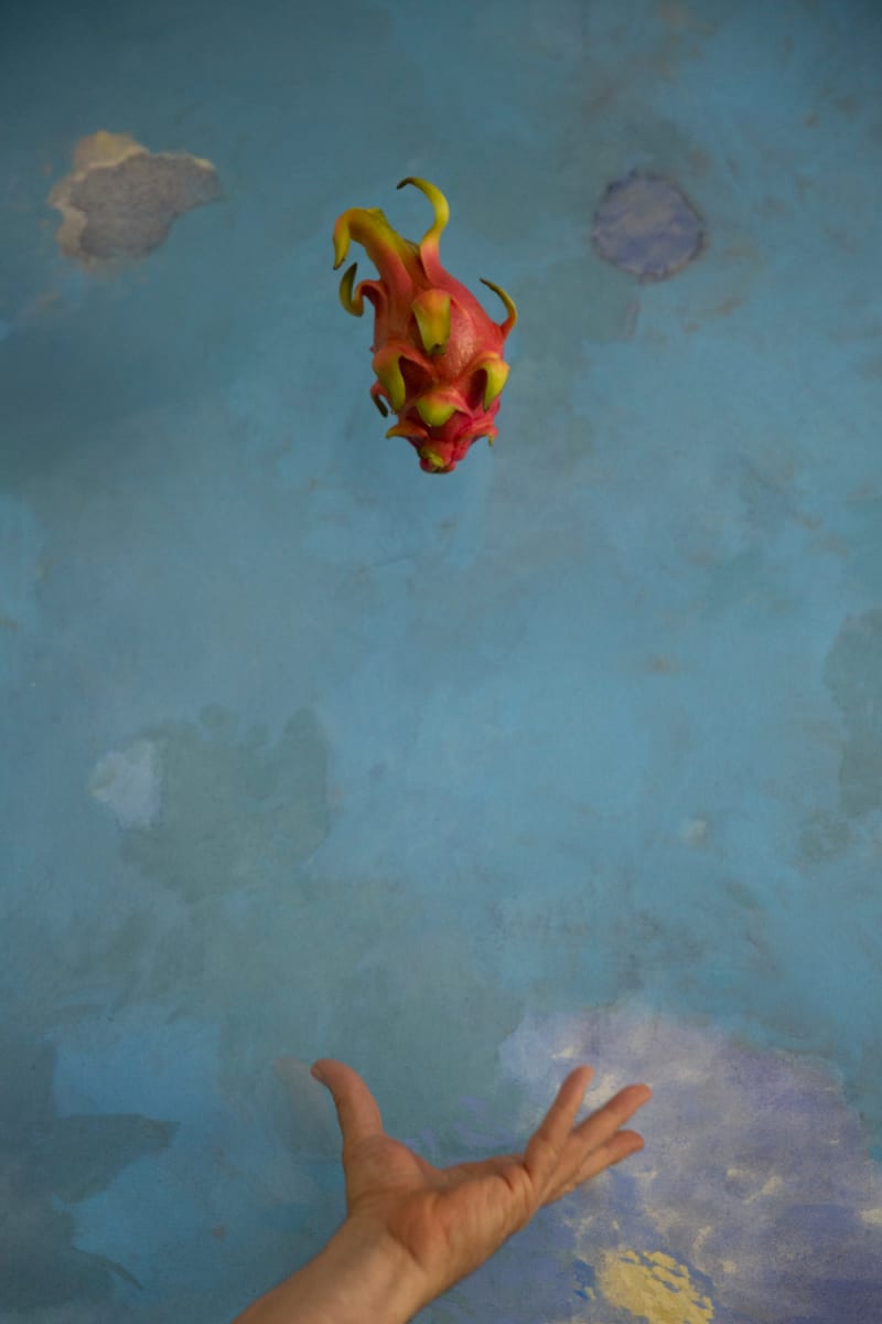 Dragonfruit by JP Terlizzi, Image 1.