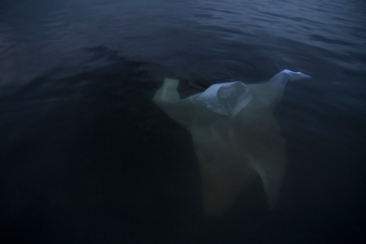 Submerged by JP Terlizzi, Image 1.