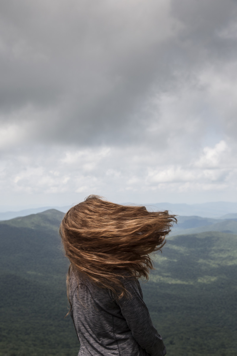 Windswept by JP Terlizzi 