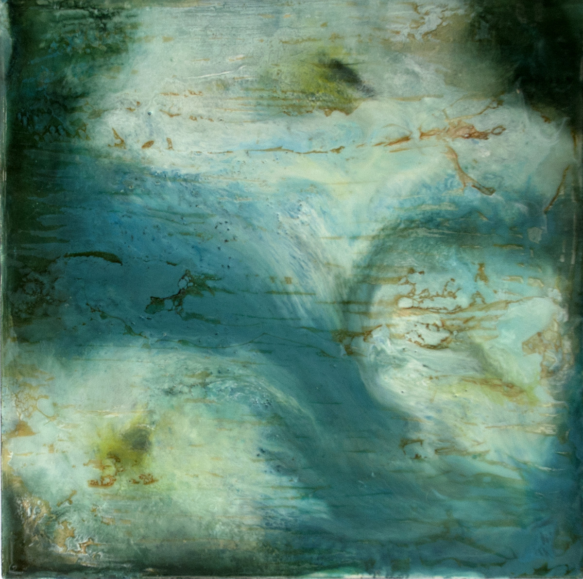 Flowers Adrift No. 1 by Kim Amell     