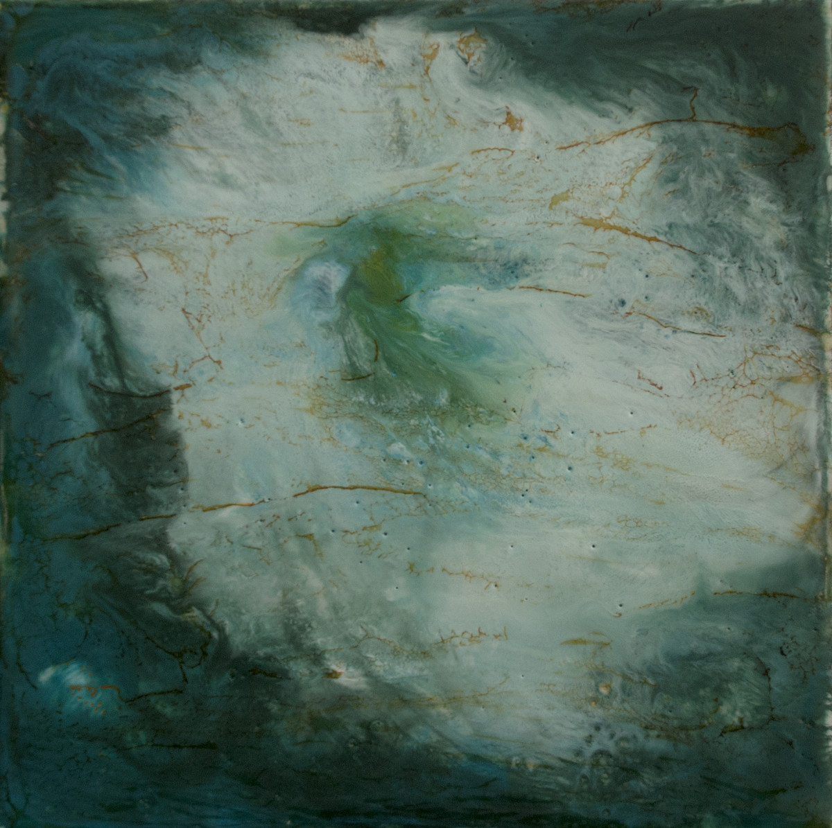 Flowers Adrift no. 2 by Kim Amell     