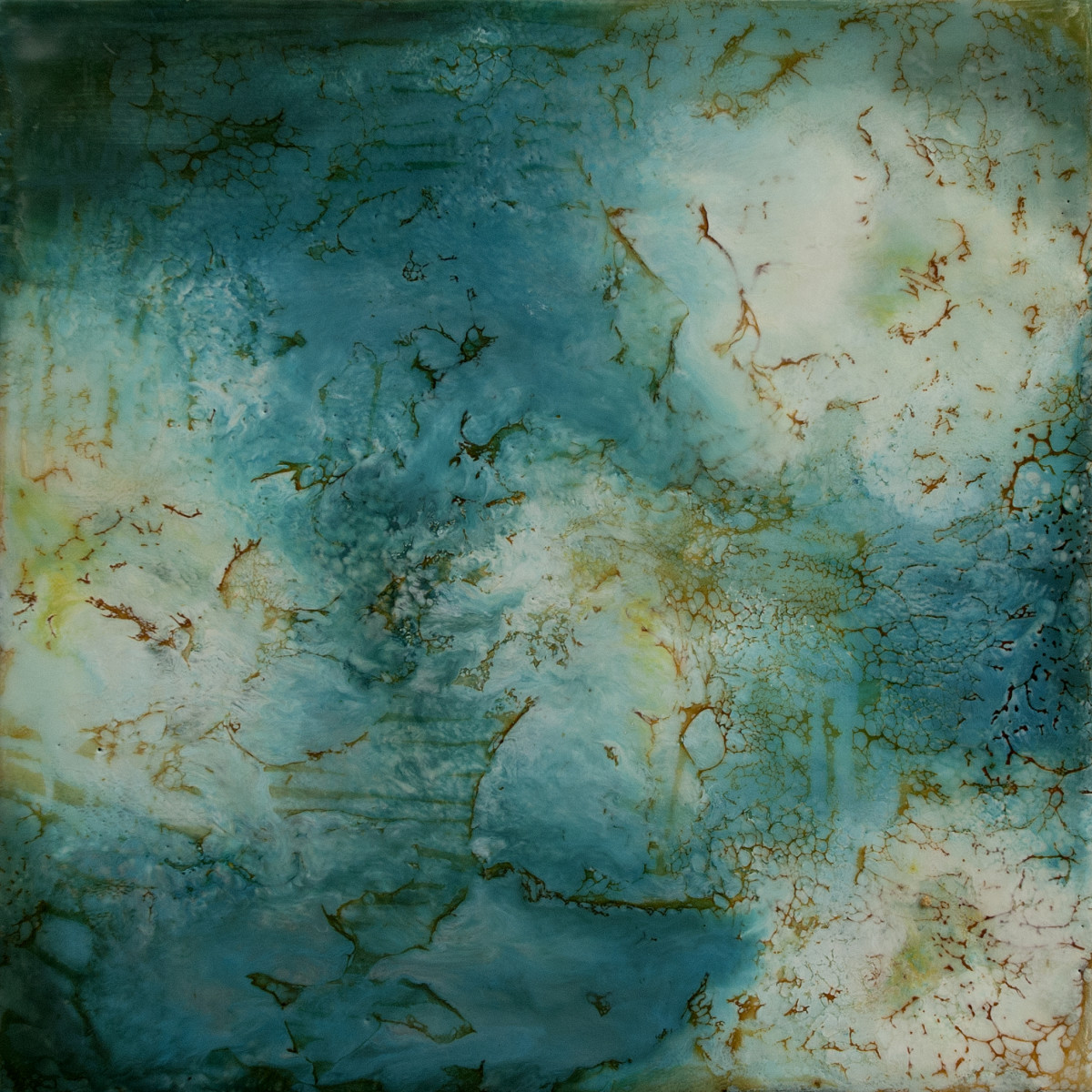 Flowers Adrift No. 4 by Kim Amell     