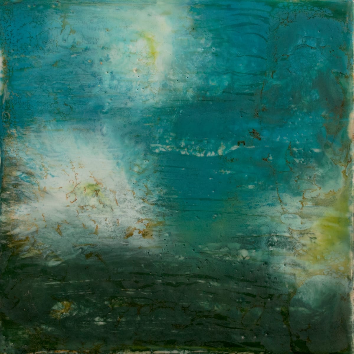 Flowers Adrift No. 5 by Kim Amell    , Image 2.