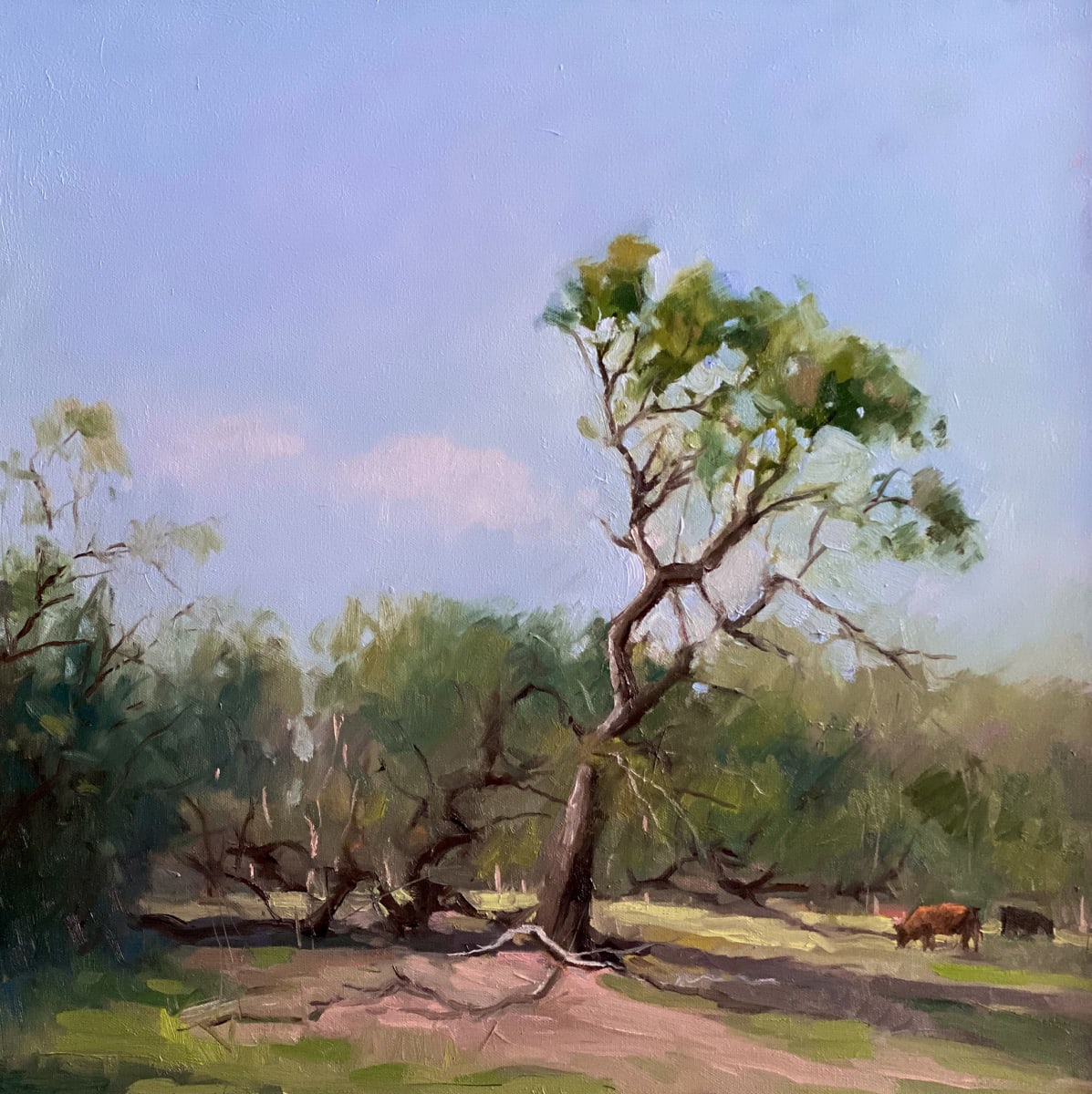 The Leaning Tree by Katie Dobson Cundiff 