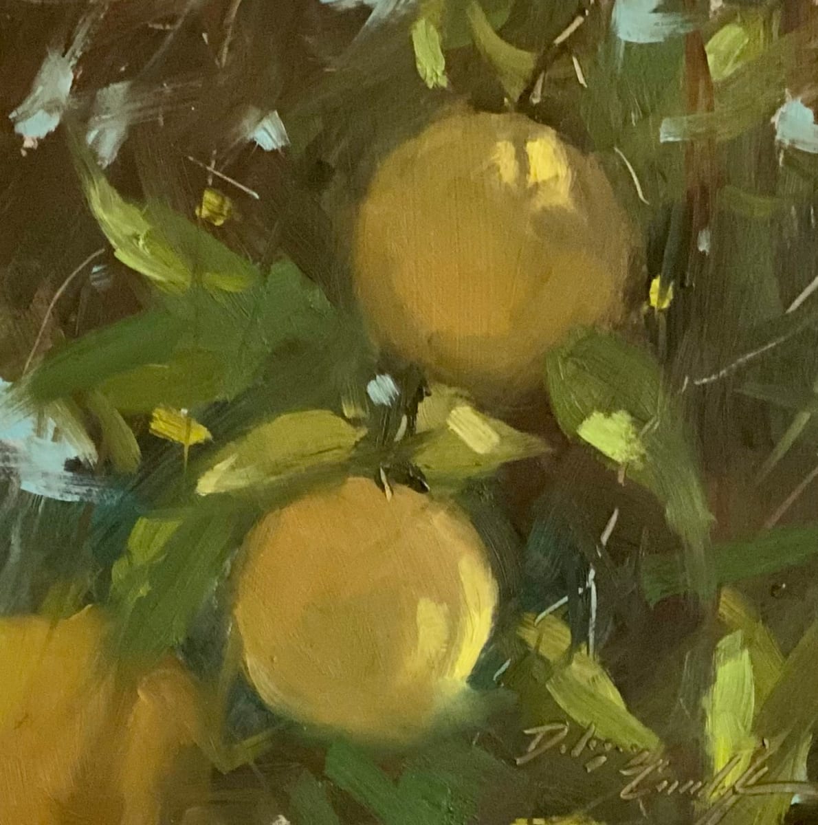 Wild Oranges by Katie Dobson Cundiff 