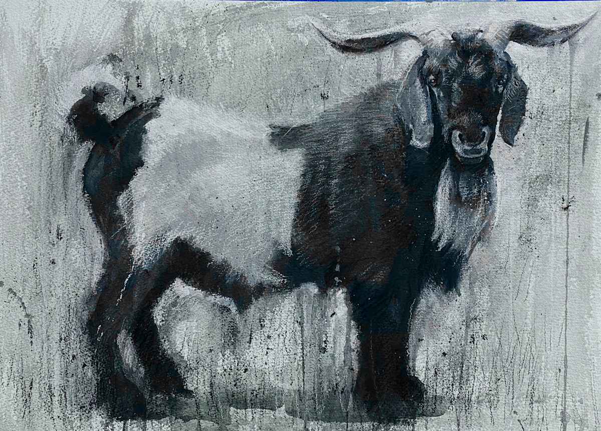 Goat by Katie Dobson Cundiff 
