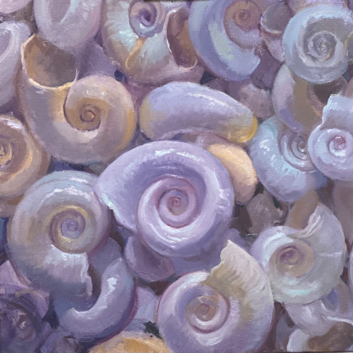 Sea Snail Medley in White by Katie Dobson Cundiff 