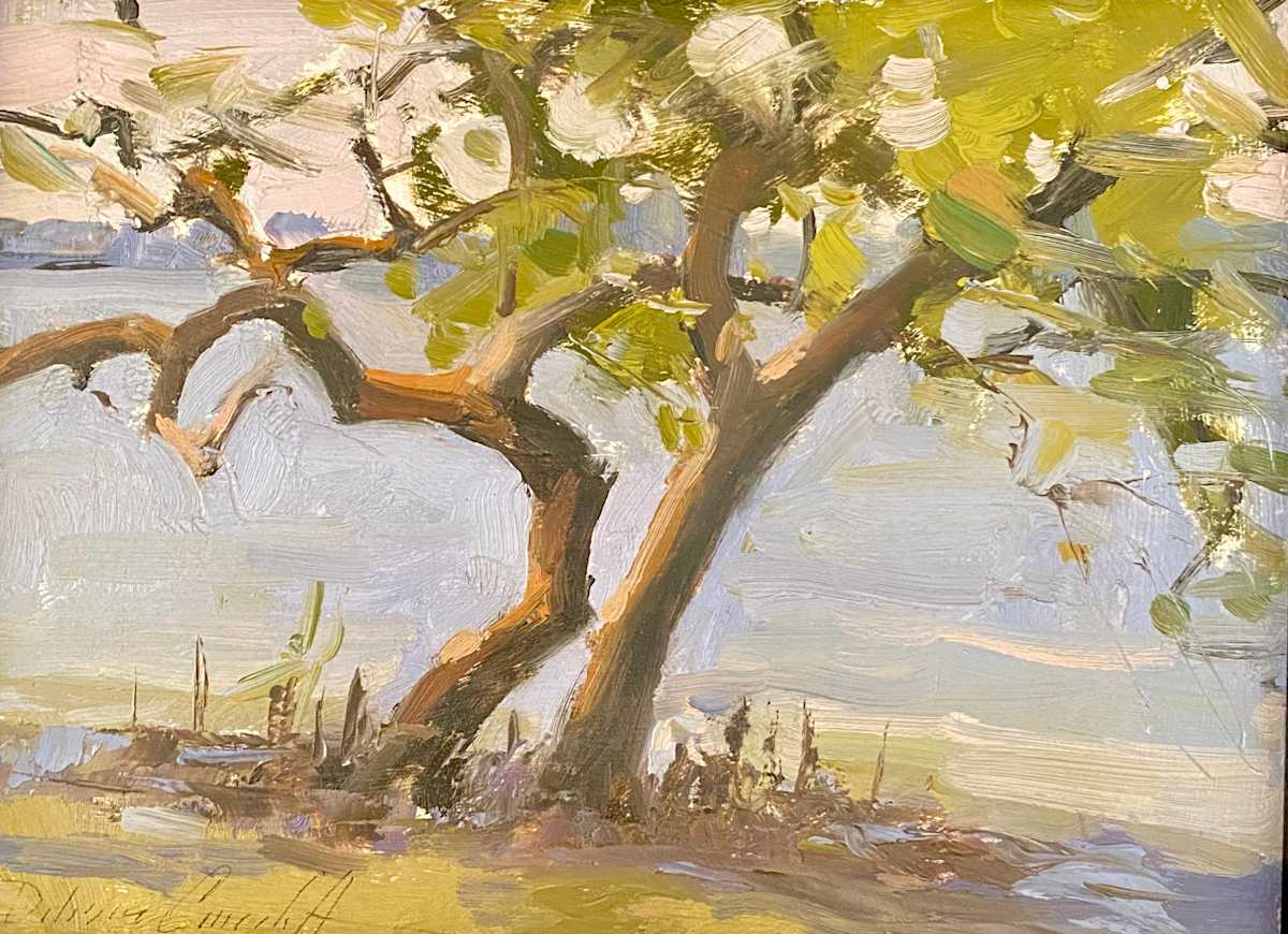 Mangrove Study by Katie Dobson Cundiff, Image 1.