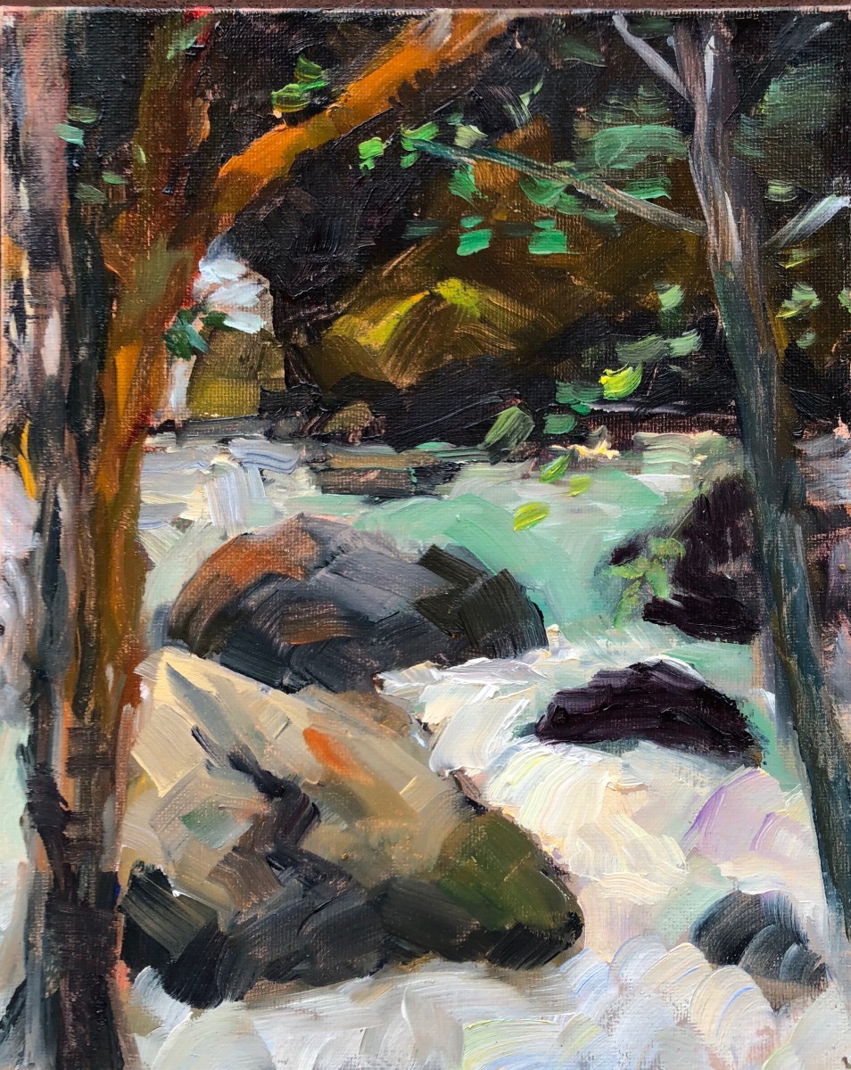 Madden Creek by Claudia Lima 