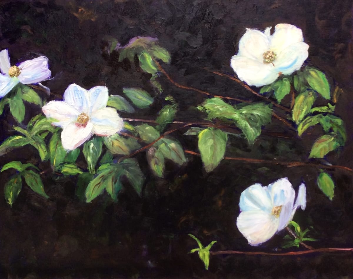 Dogwoods by Claudia Lima 