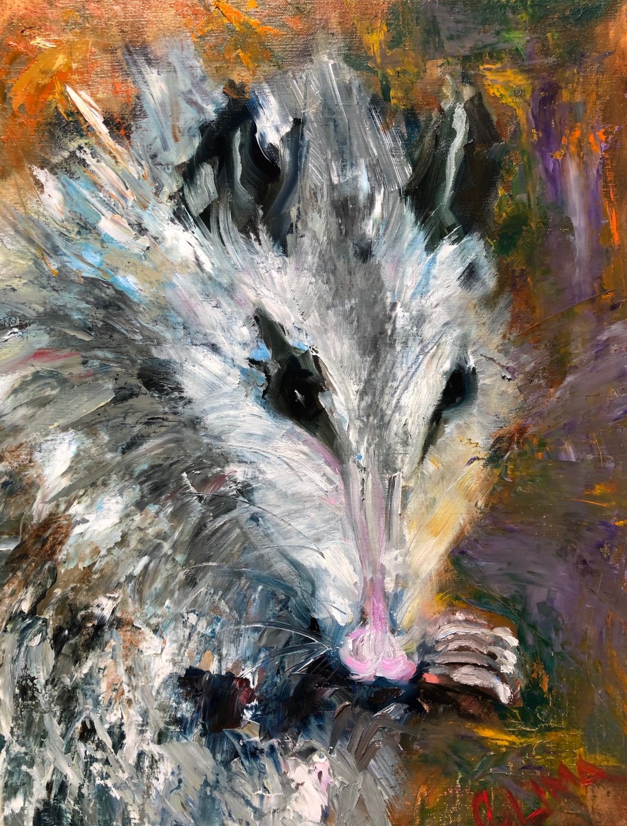 Possum Love by Claudia Lima 