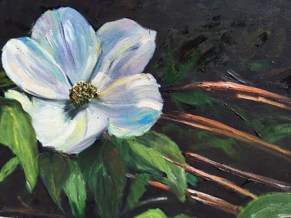 Dogwood #3 by Claudia Lima 
