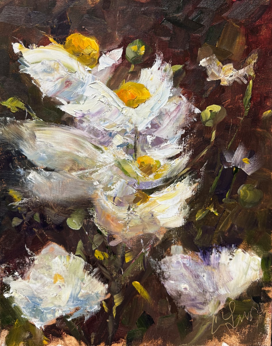 Matilija Poppies by Claudia Lima 