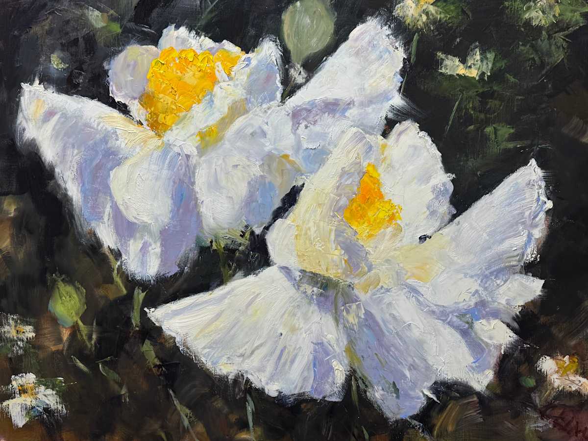 Off The Porch by Claudia Lima, Image 1.