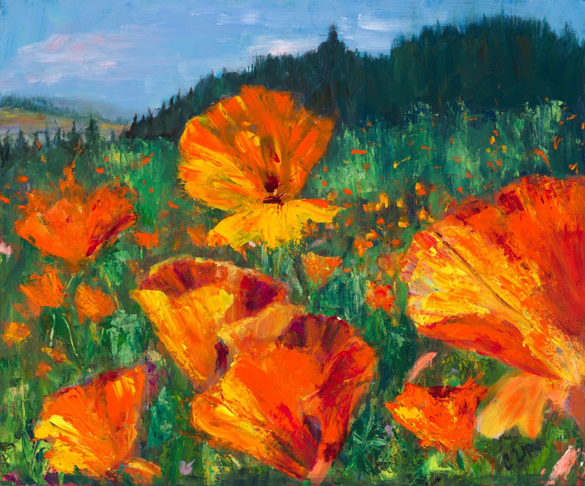 Poppies by Claudia Lima 