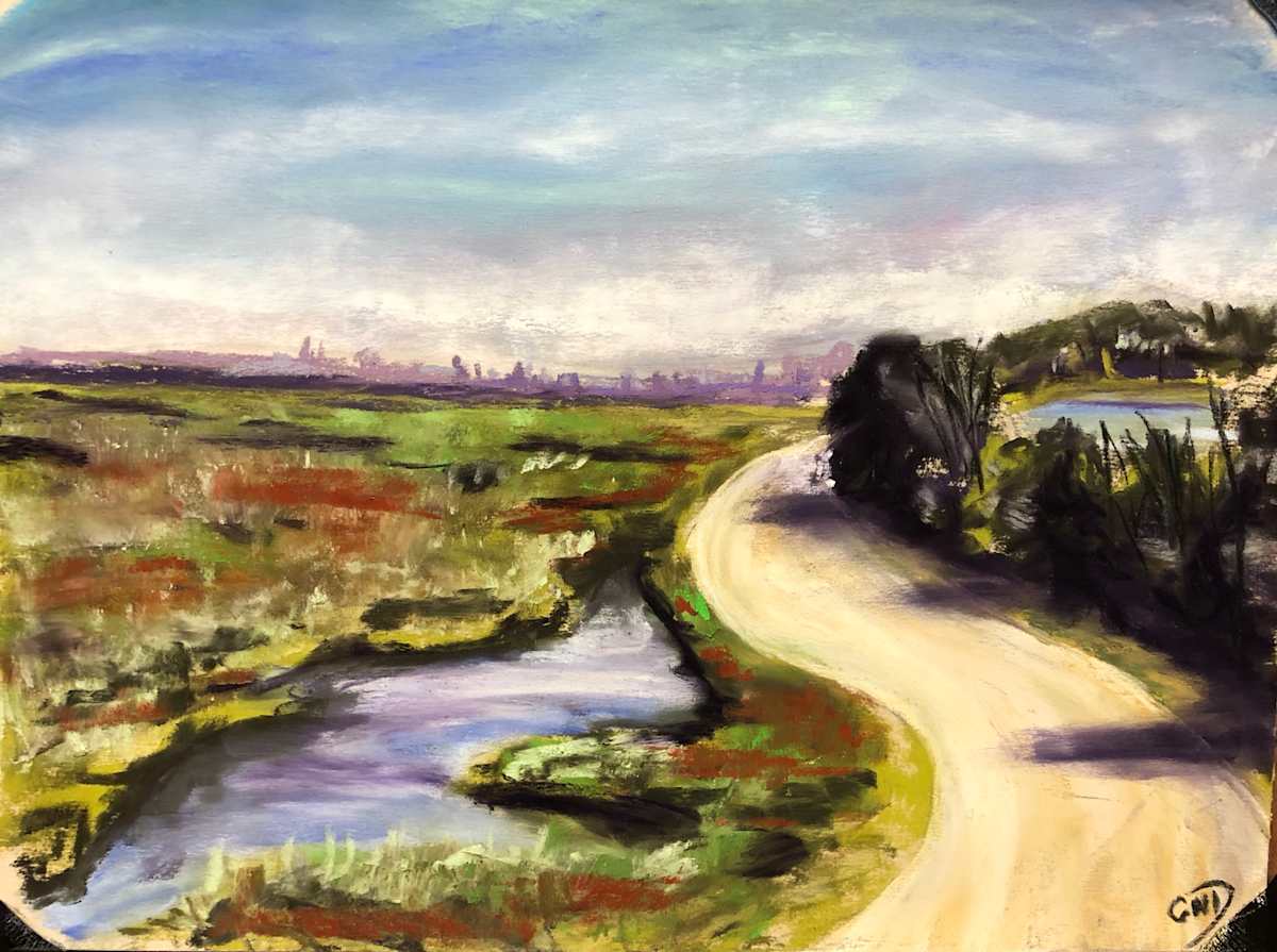 Saltmarsh Superhighway by G. Matthew Dixon, Image 1.