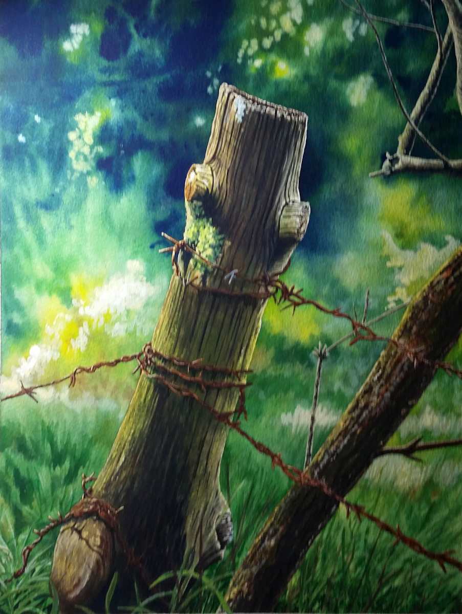 Fencepost by Dave P. Cooper, Image 1.