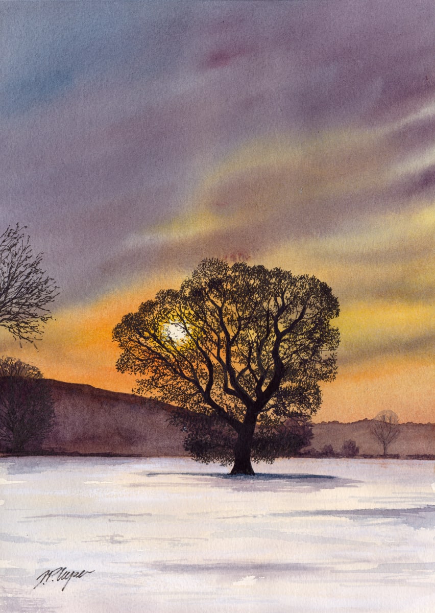 MASKING THE SUN by Dave P. Cooper  Image: A tree silhouette masking the fading sun on a winters evening