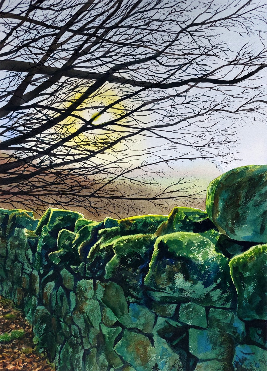 WINTER GREEN by Dave P. Cooper  Image: The winter sun catches the top edge of a mossy wall in the North Yorkshire Moors