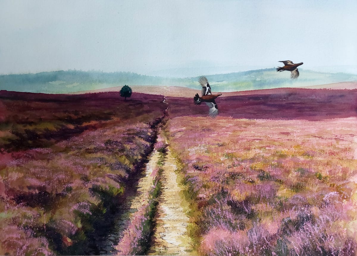 TAKING FLIGHT by Dave P. Cooper  Image: Two grouse take flight across the flowering heather in the North Yorkshire Moors