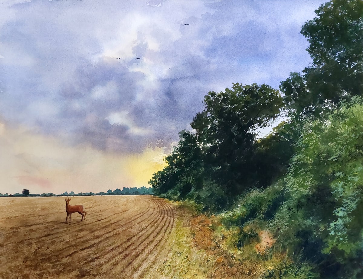 CAUGHT OUT by Dave P. Cooper  Image: A roe deer looks back as it escapes across a field in Heslington, York