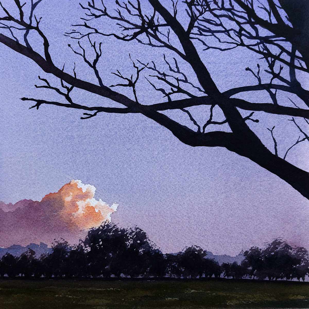 LAST RAYS by Dave P. Cooper, Image 1.