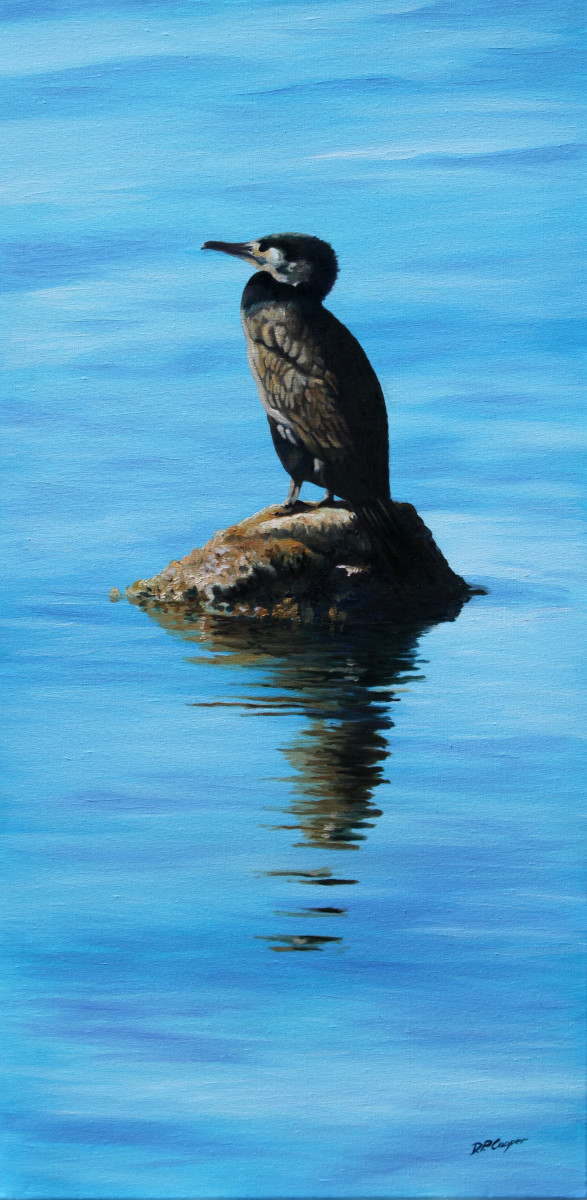 SUN WORSHIPPING CORMORANT by Dave P. Cooper 