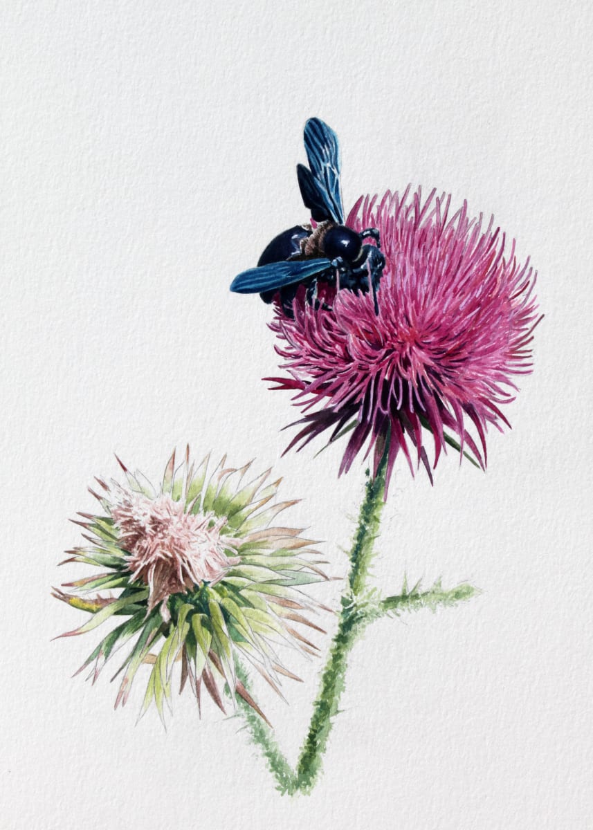 THISTLE by Dave P. Cooper, Image 4.