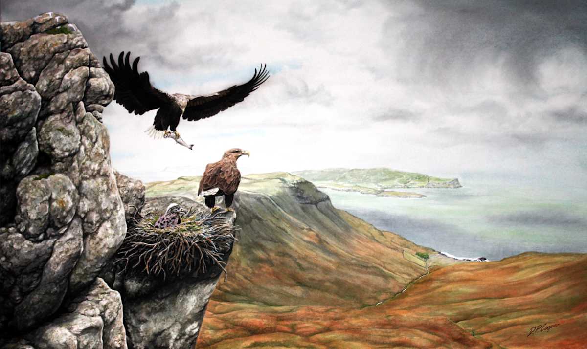 SEA EAGLES by Dave P. Cooper, Image 1.