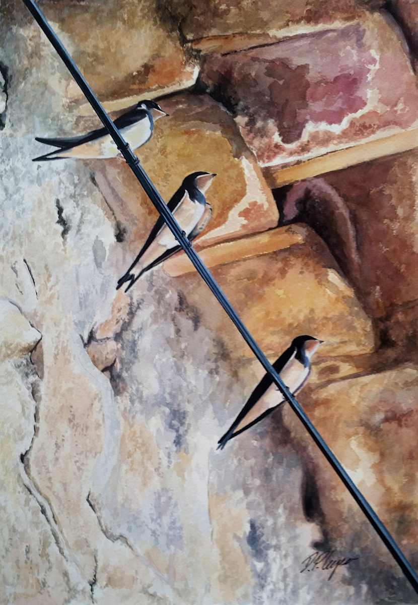 SWALLOWS IN THE SHADE by Dave P. Cooper, Image 2.