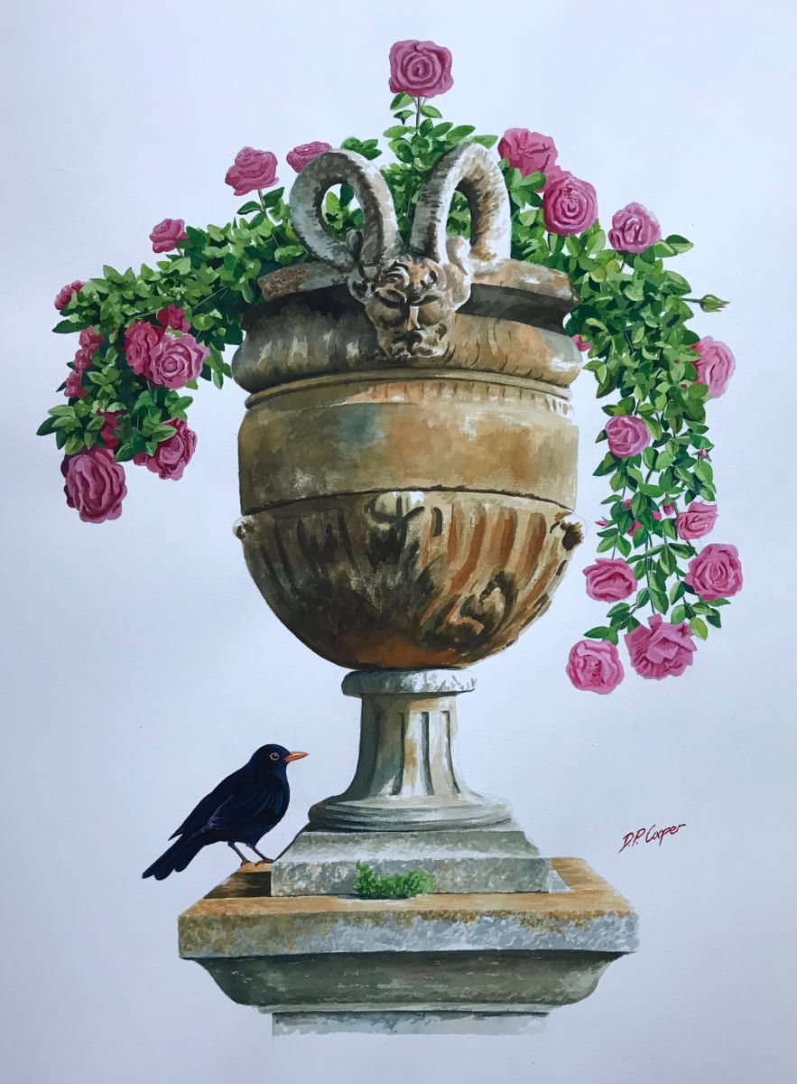 BLACK AND PINK by Dave P. Cooper  Image: A Blackbird next to a stone vase with tumbling pink roses