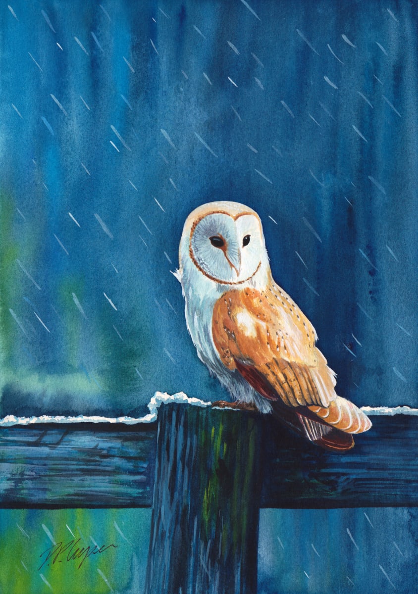 BARN OWL by Dave P. Cooper  Image: A barn owl sits on a fence as snow starts to fall