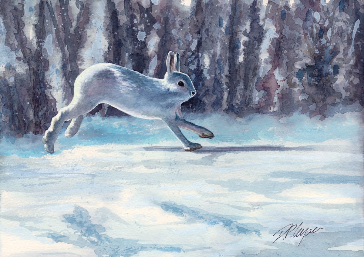 WINTER HARE by Dave P. Cooper  Image: A mountain hare in winter coat runs across the snow