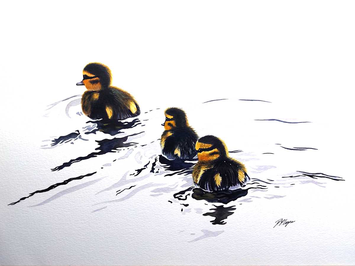 FOLLOW MY LEADER by Dave P. Cooper  Image: Ducklings being ducklings