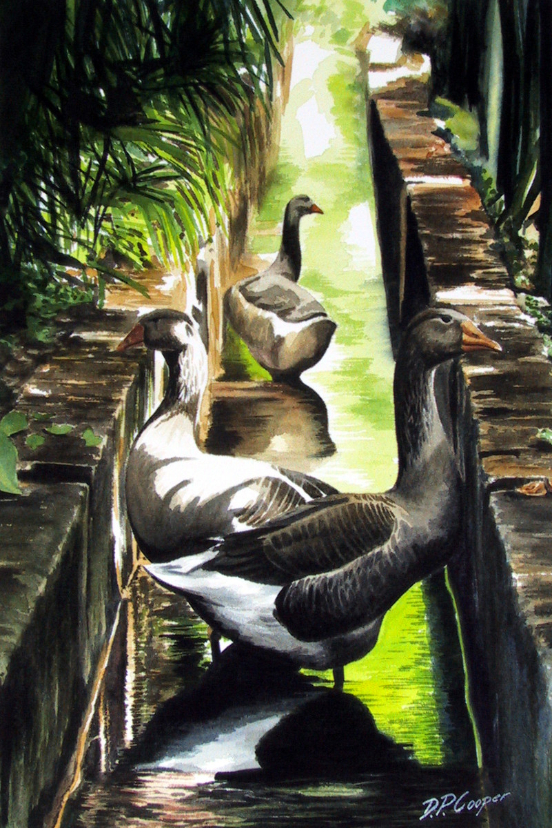 Three geese by Dave P. Cooper 