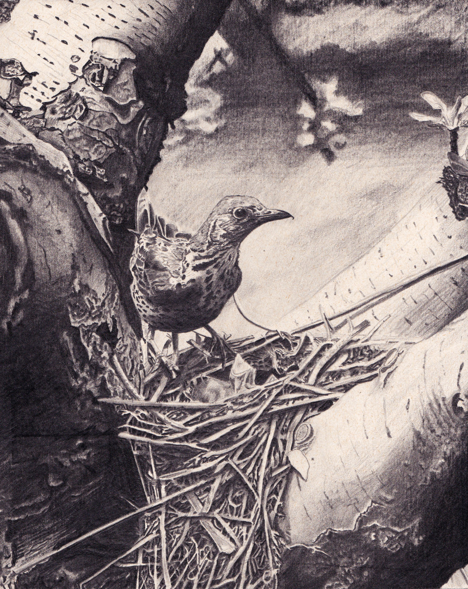 Thrush by Dave P. Cooper 